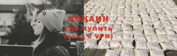дживик Абаза