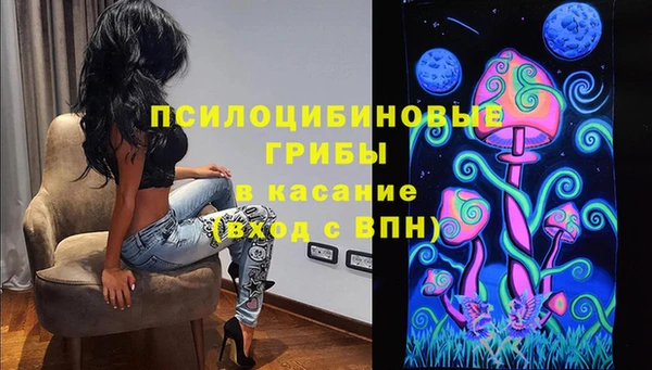 дживик Абаза
