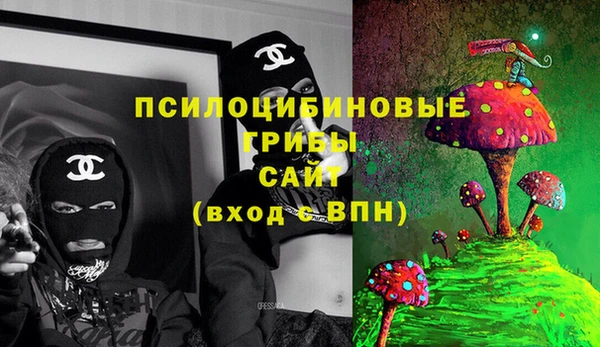дживик Абаза