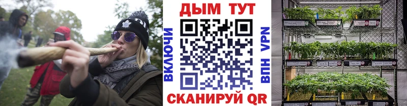 Бошки Шишки ГИДРОПОН  Белая Калитва 